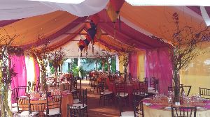 TLC Events photo 3