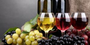 Wine Making Supplies Ltd photo 7