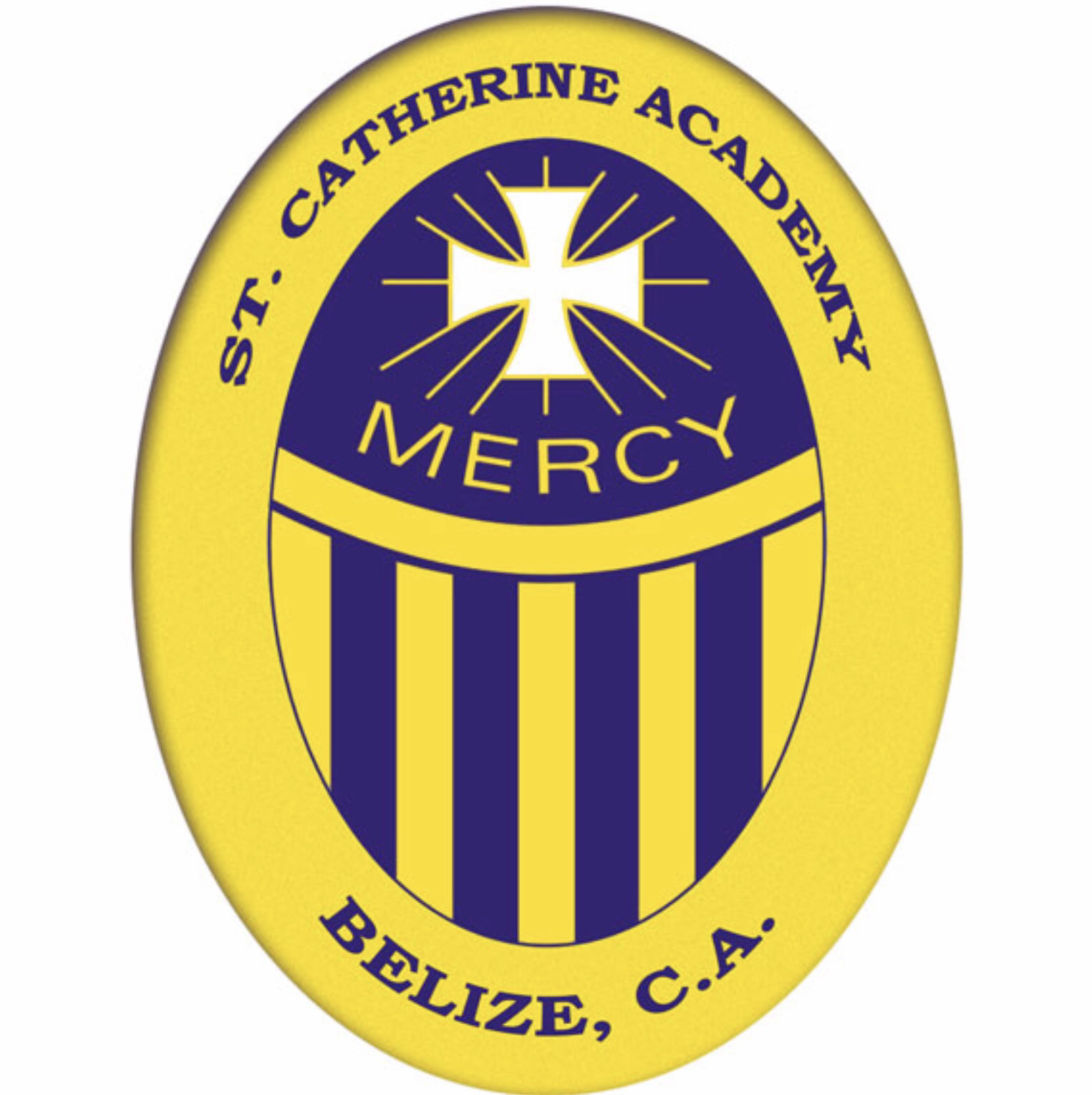 St Catherine Academy logo