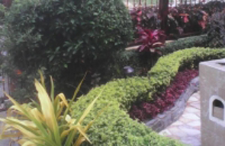 Wallace Landscaping Services photo 7