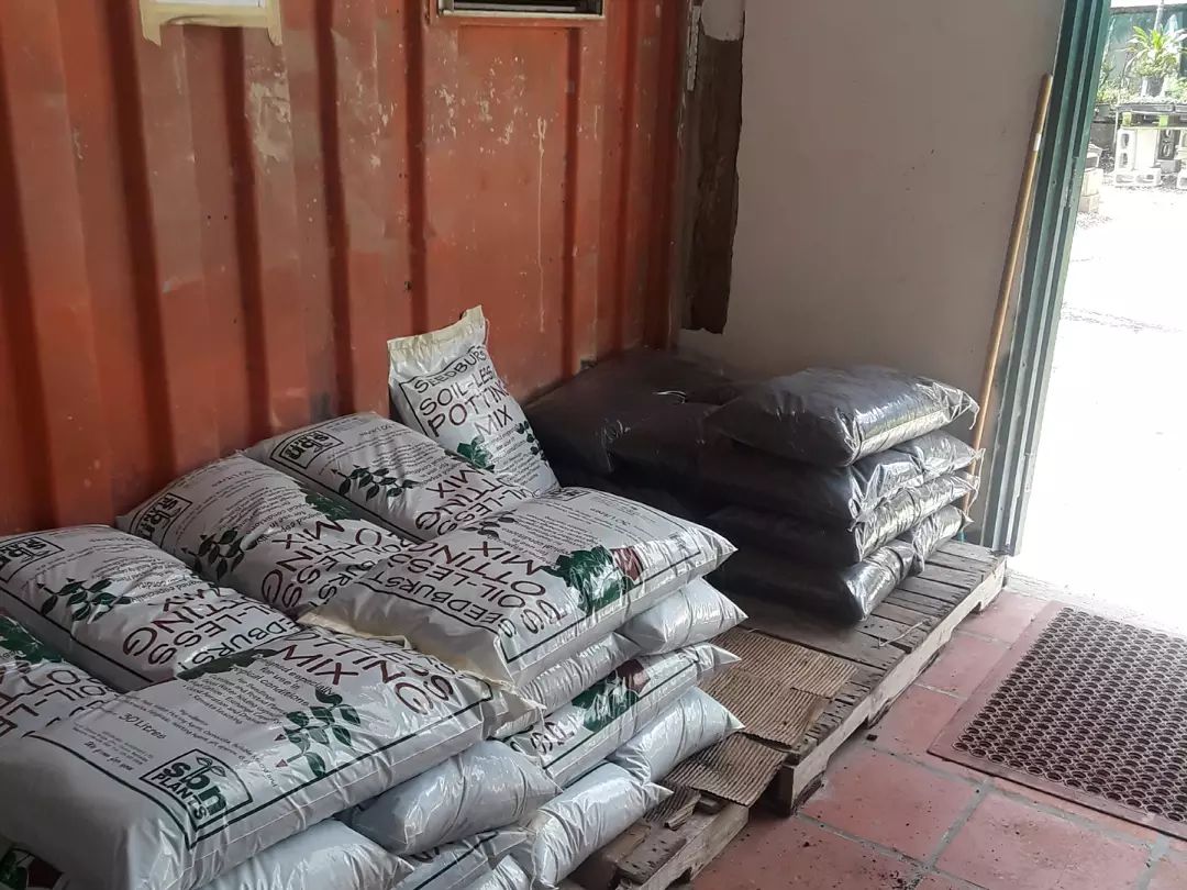 Seedburst Nurseries Ltd (S B N Plants) photo 4