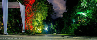 Boone Hall Oasis photo 9