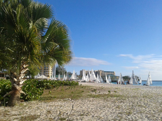 Nautilus Beach Apartments photo 7