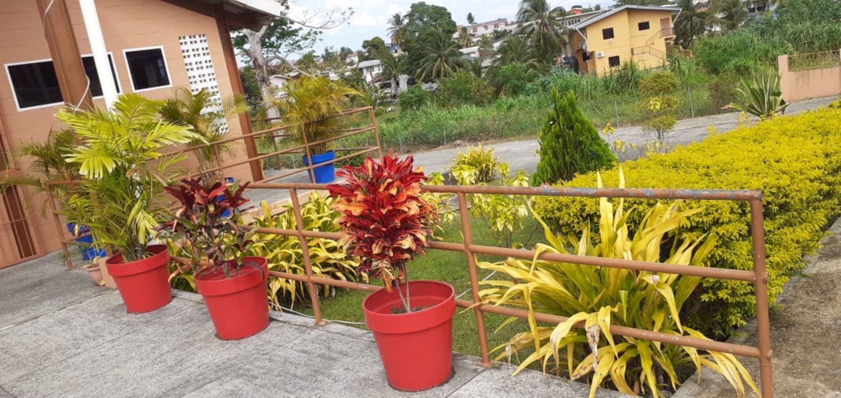 Vistabella Regional Complex photo 4