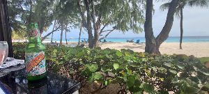 Divi Southwinds Beach Resort photo 9