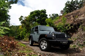 Cool Breeze Car & Jeep Rental photo 7