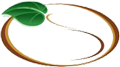 Dr Dian Robinson logo