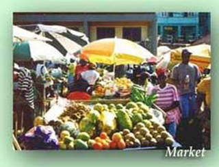 University Of Belize photo 2