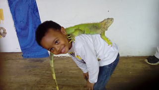 Jamaica Zoo photo 3