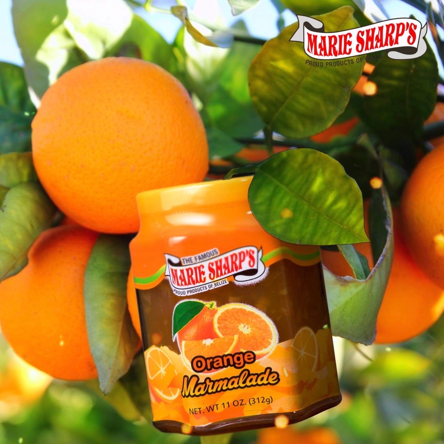 Marie Sharp's Fine Foods Ltd photo 6