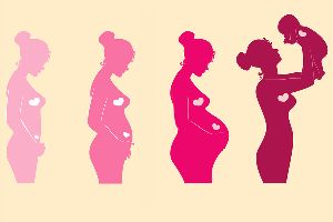 Apex Gynae Services photo 1