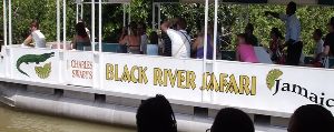Black River Safari photo 7