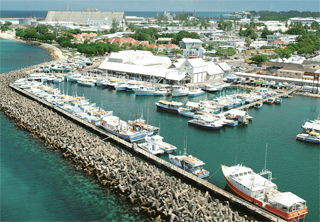 Vicari Trading Nv photo 13