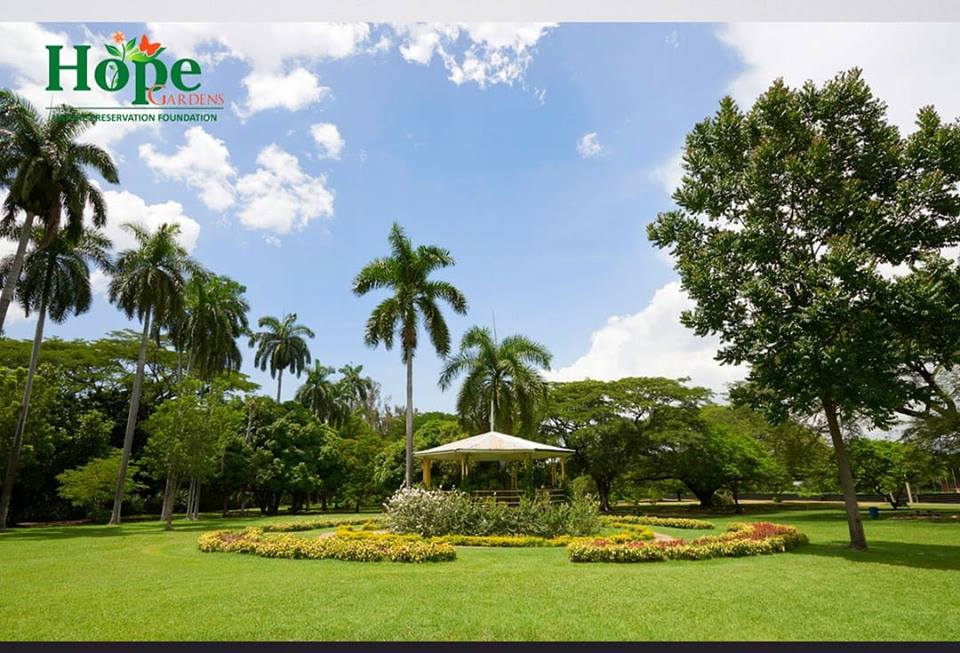 Nature Preservation Foundation photo 2