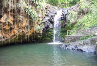 University Of Belize photo 4