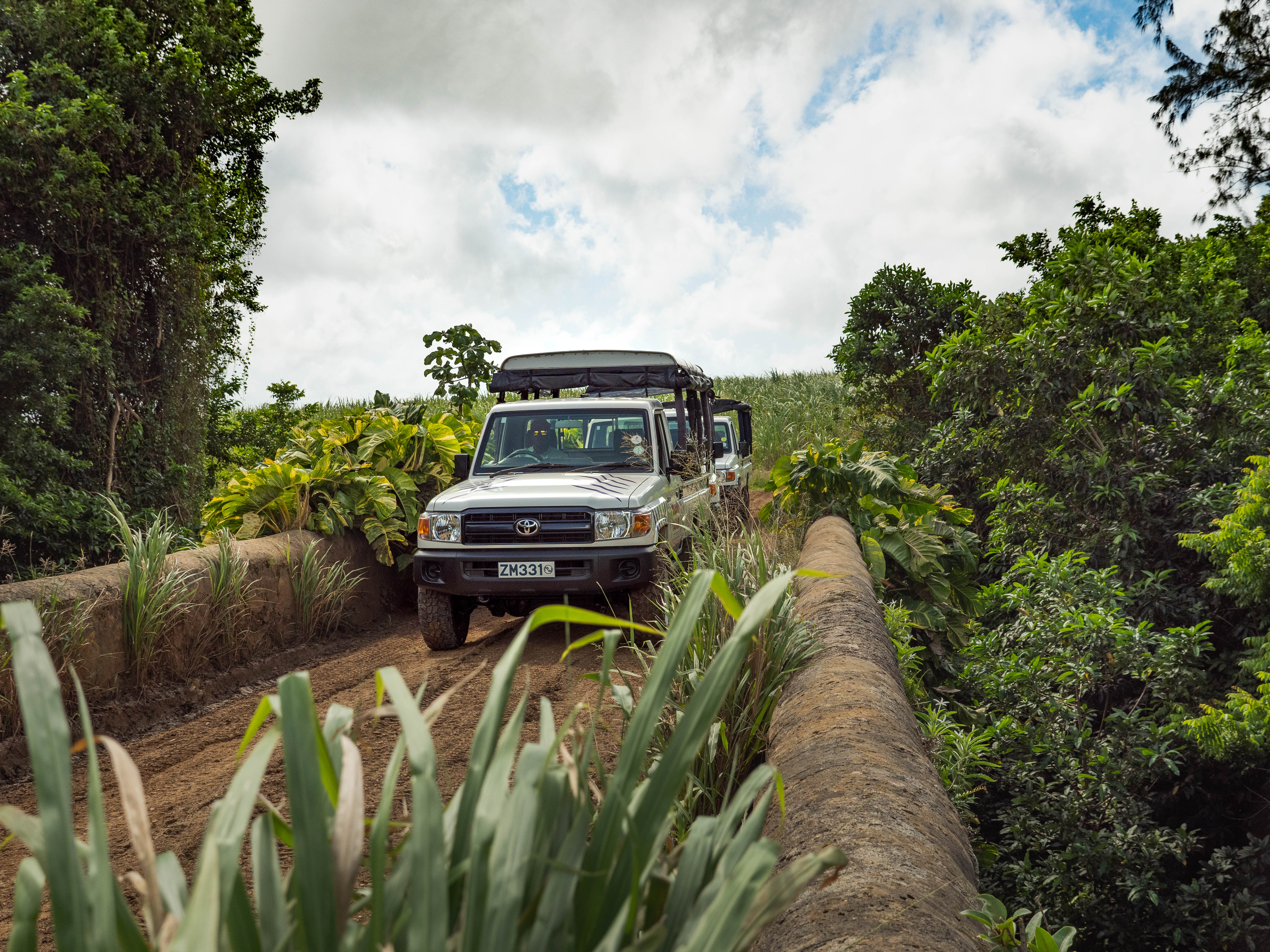 Island Safari (B'dos) Ltd photo 3