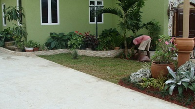 Jones Stephen Landscaping & Garden Cen photo 8