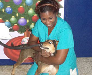 Noah's Ark Veterinary Centre photo 7