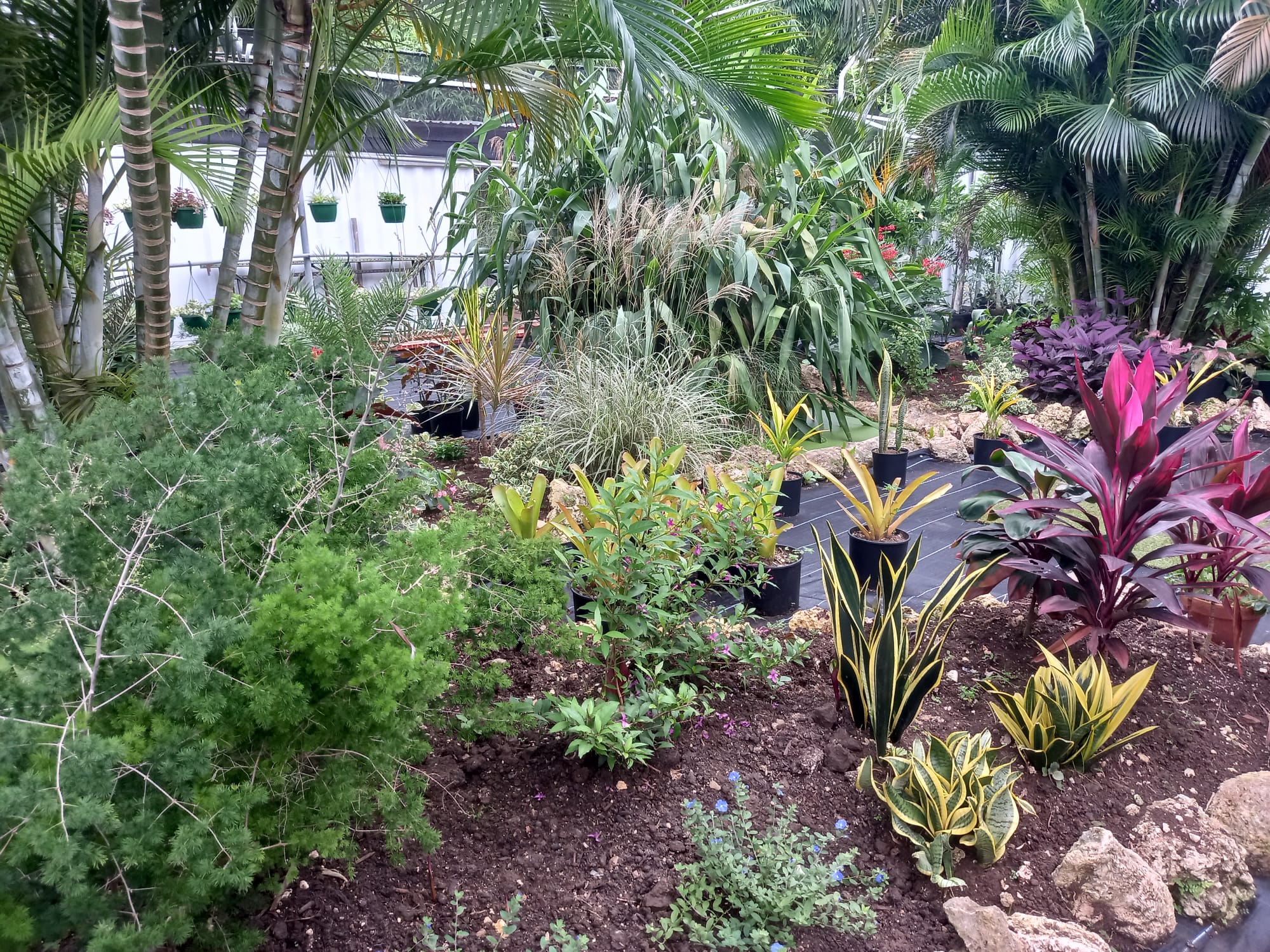 The Garden Shed photo 9