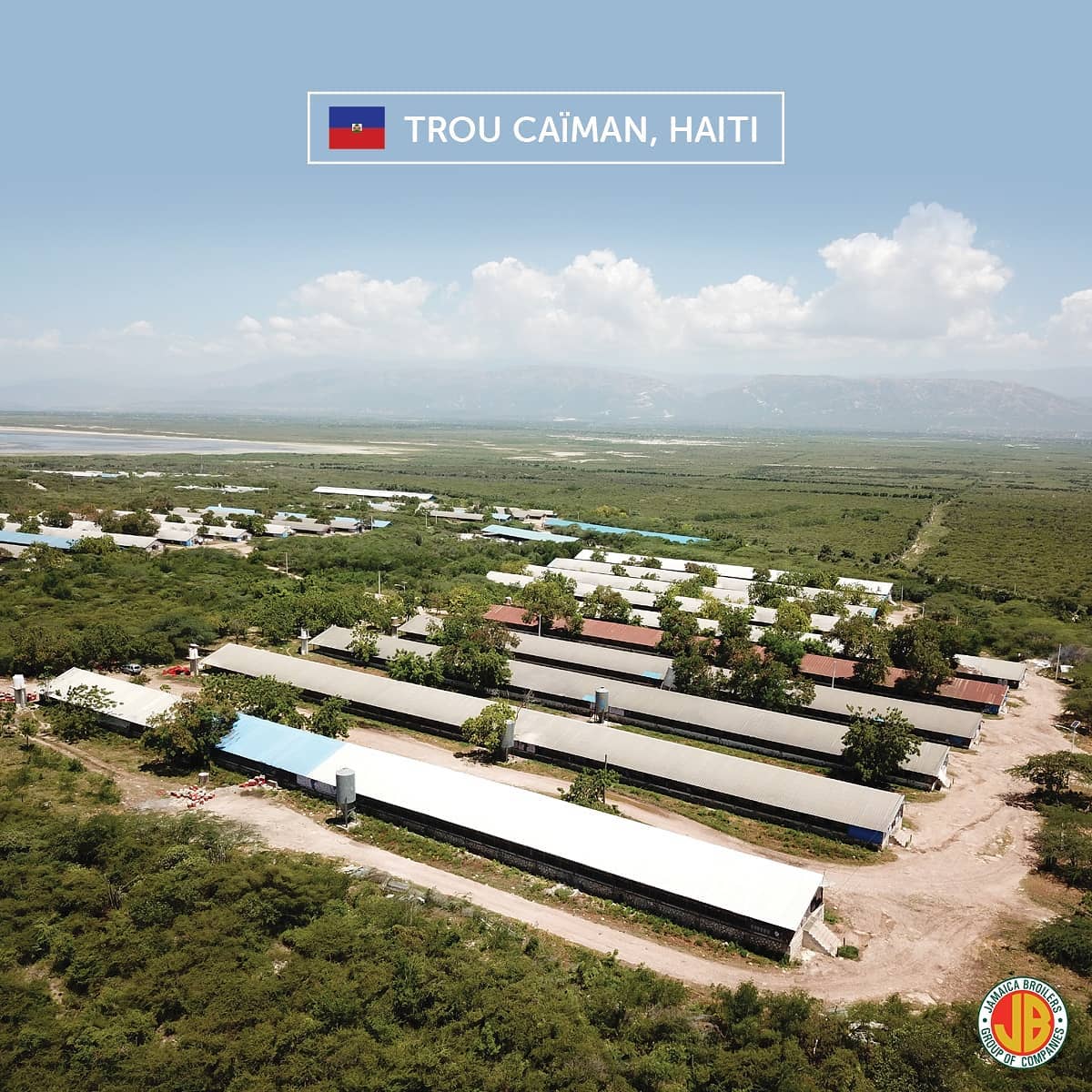 Jamaica Broilers Group Of Companies Ltd photo 2