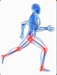Orthoplex photo 4