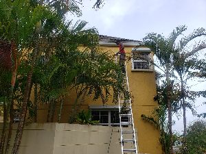 Brite Clean Detailing photo 2