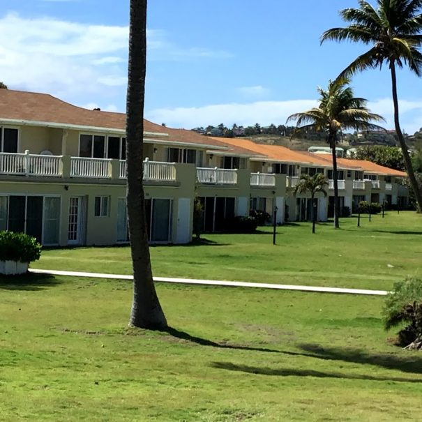 Island Paradise photo 3