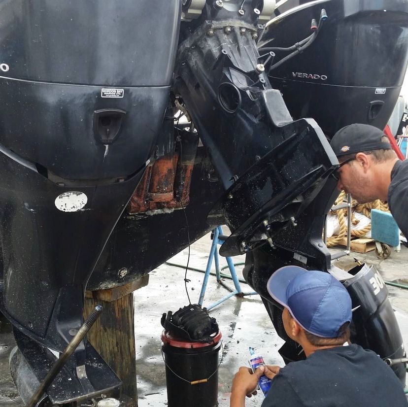 SOS Marine photo 2