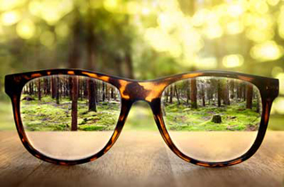 Total Vision photo 3