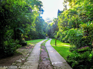 Boone Hall Oasis photo 2