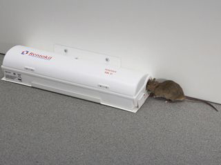 Rentokil photo 1