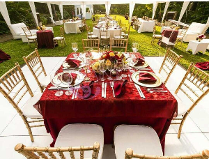Novelty Party Rentals Ltd photo 4