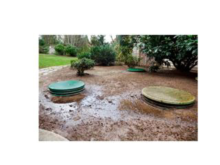 Allied Cesspool Emptier Ltd photo 1