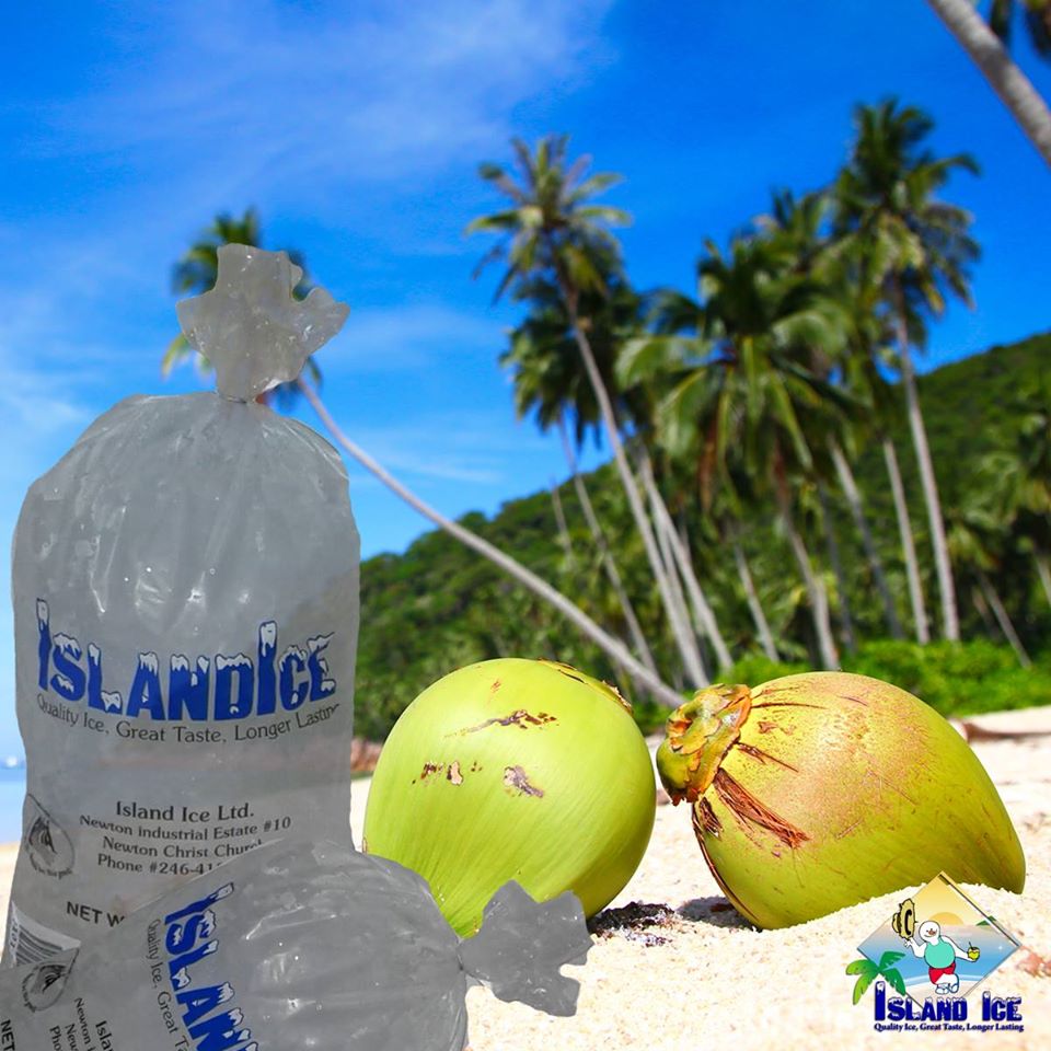 Island Ice Limited photo 3