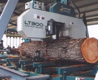 A J K Corporate Services Belize Ltd photo 2
