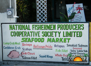 National Fishermen Producers Co-Operative Society Ltd photo 3