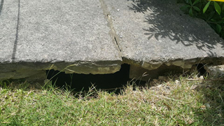Septic Solutions photo 4