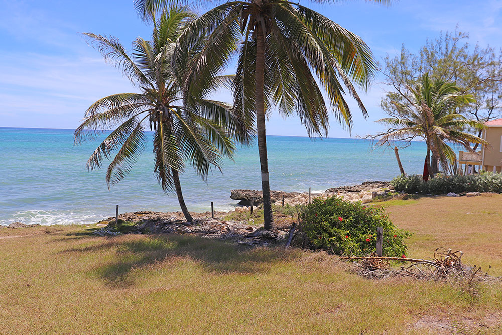 Caribbean Island Properties Inc photo 10