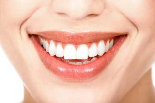 Wellington Dental photo 3