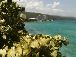 Carib Ocho Rios Resort photo 5