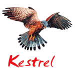 Kestrel Liner Agencies Ltd logo