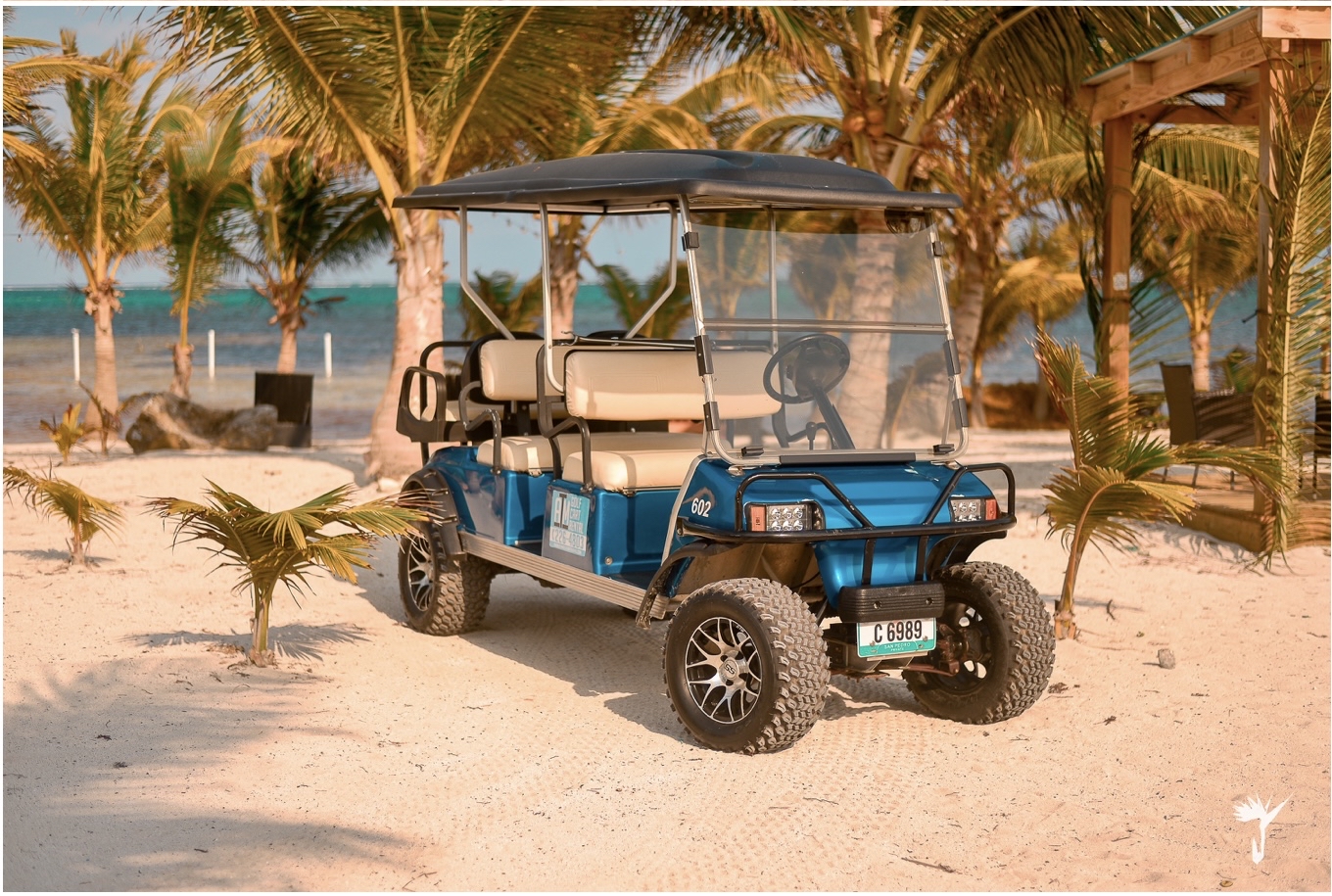 ATM Golf Cart Rental photo 1