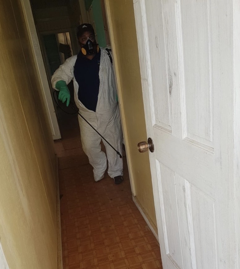 TermineX Pest Control & Sanitary Disposal Services photo 6