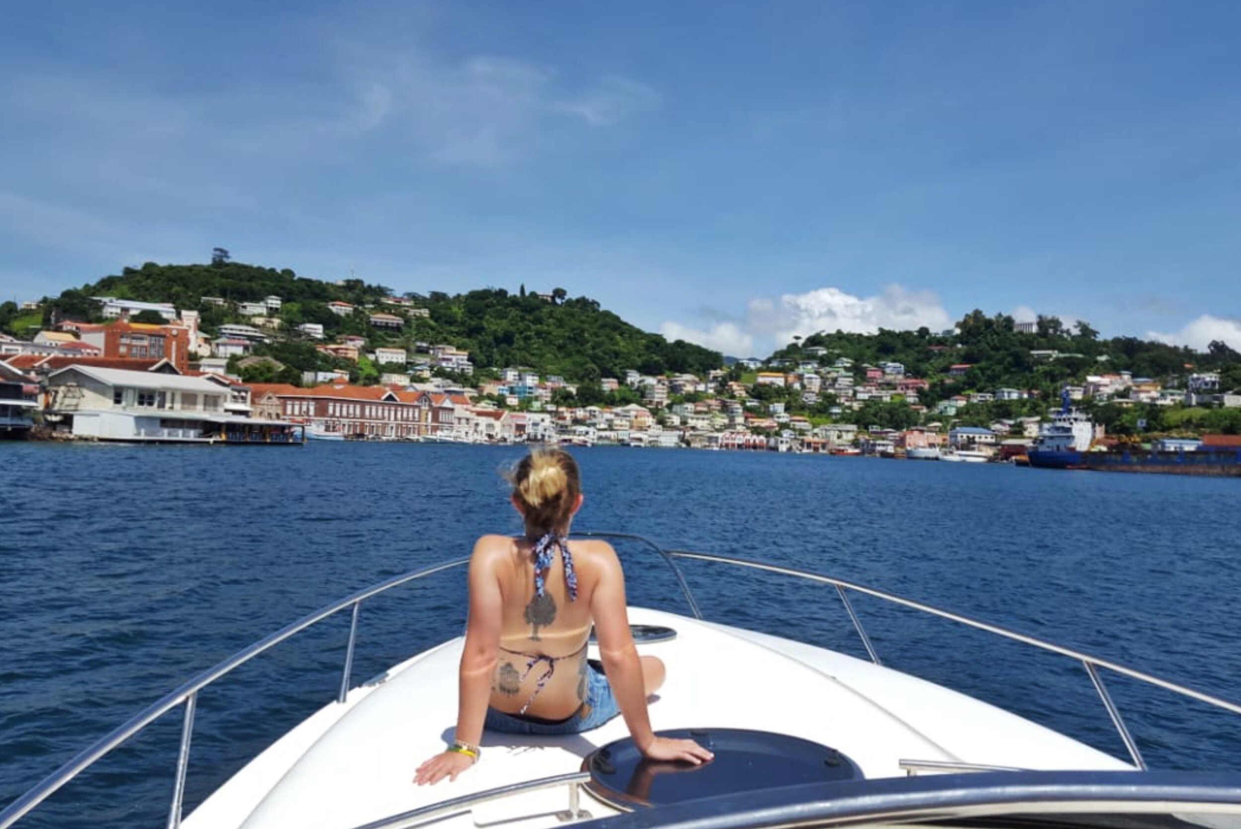 Caribbean Netherlands Consultants photo 3