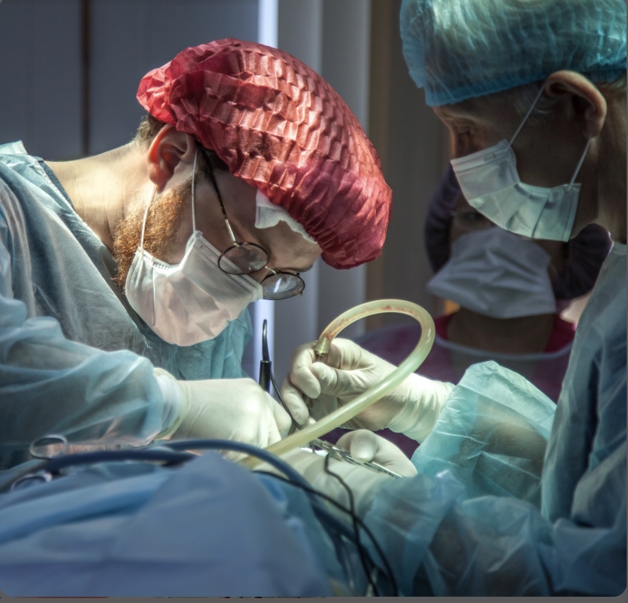 Belle Sherry Dr M B B S MSc (Family Physician) photo 1