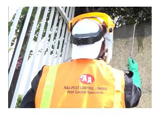 A & A Pest Control Ltd photo 6