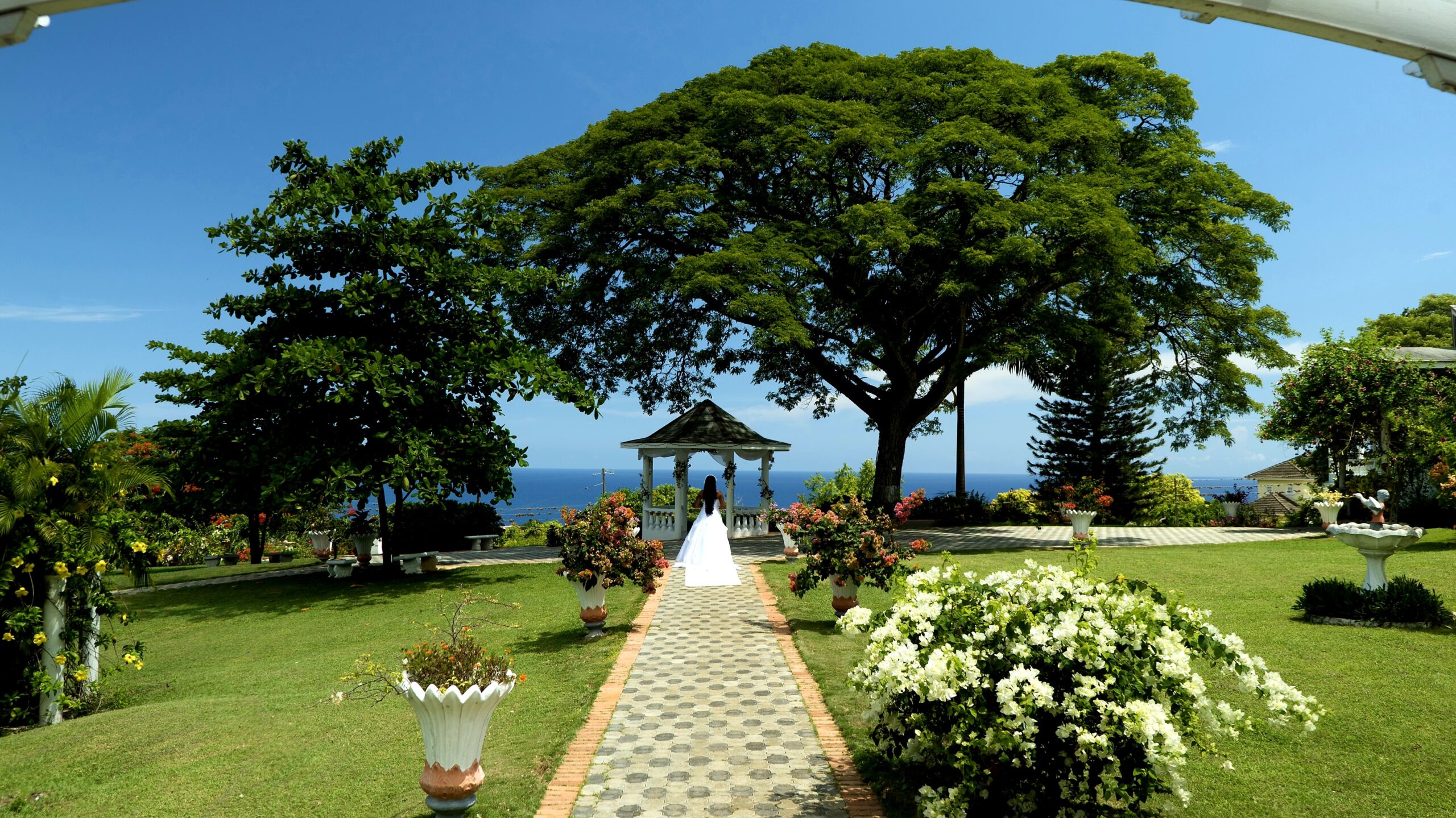 Cecille's Garden & Wedding Centre Ltd photo 7
