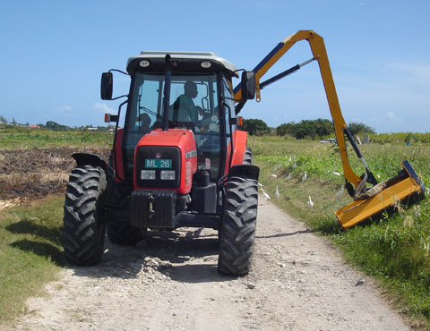 Barbados Agricultural Development & Marketing Corporation (BADMC) photo 3