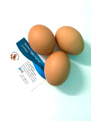 Golden Eggs Farms Ltd photo 6
