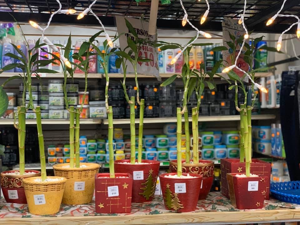 Home & Garden Essentials Ltd photo 4